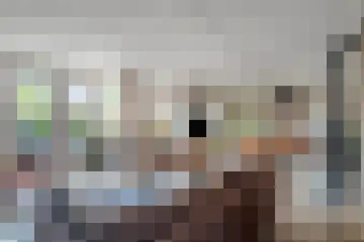 Reigersdreef 24 Streefkerk thumbnail 4