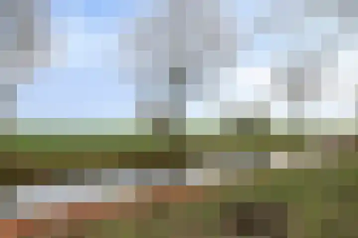 Reigersdreef 24 Streefkerk thumbnail 42