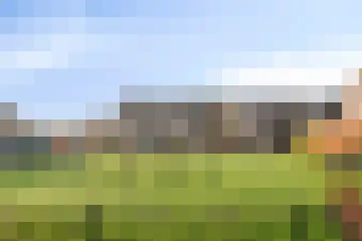 Reigersdreef 24 Streefkerk thumbnail 43