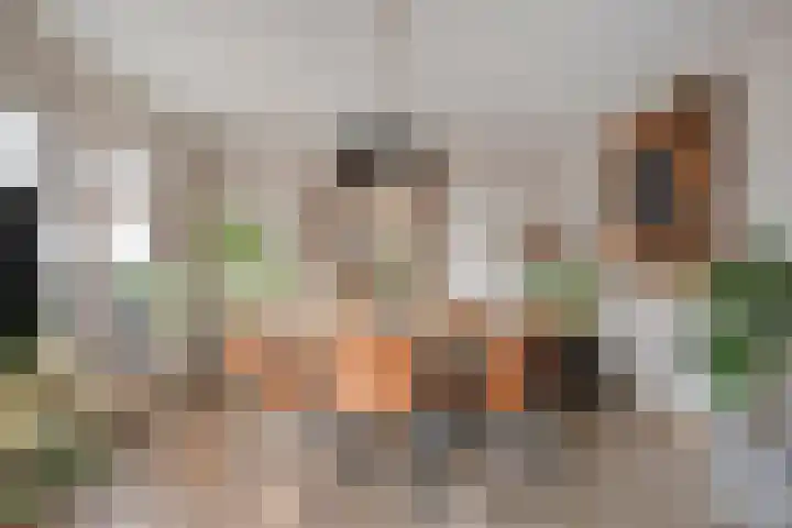Reigersdreef 24 Streefkerk thumbnail 6
