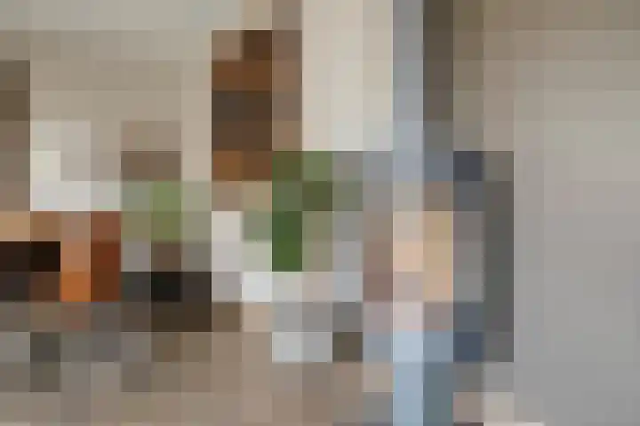 Reigersdreef 24 Streefkerk thumbnail 8