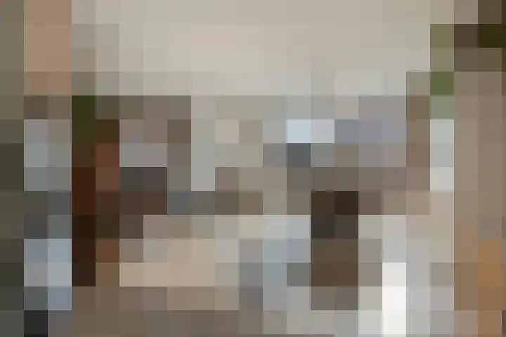 Reigersdreef 30 Streefkerk thumbnail 11