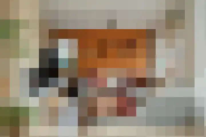 Reigersdreef 30 Streefkerk thumbnail 14