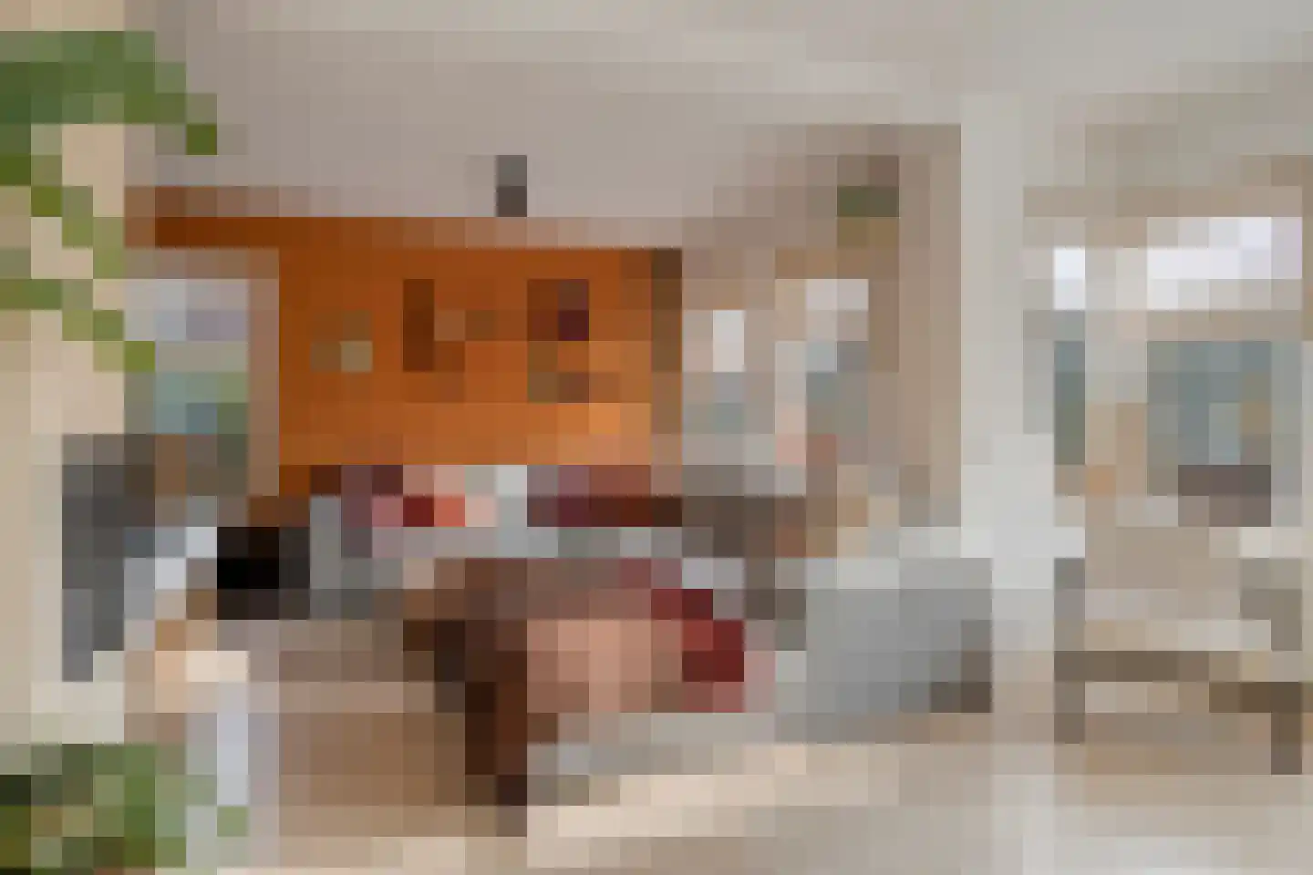 Reigersdreef 30 Streefkerk thumbnail 15