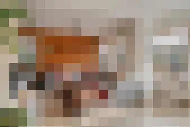 Reigersdreef 30 Streefkerk thumbnail 15