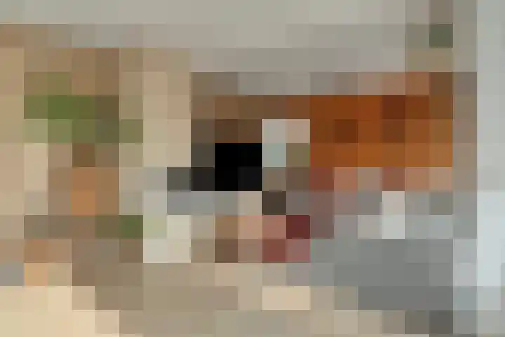 Reigersdreef 30 Streefkerk thumbnail 16