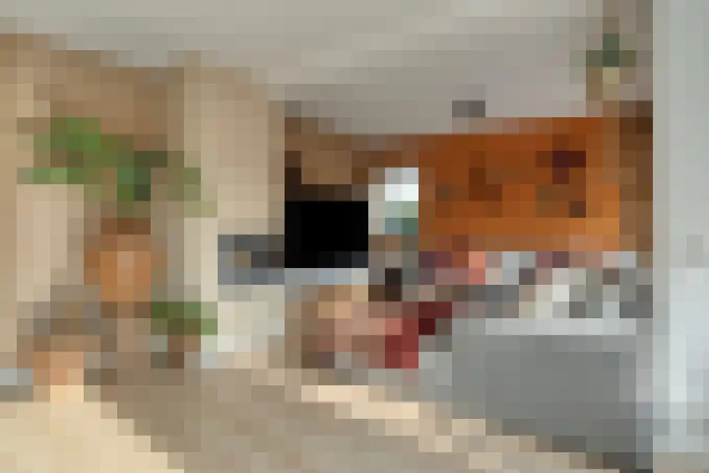 Reigersdreef 30 Streefkerk thumbnail 16