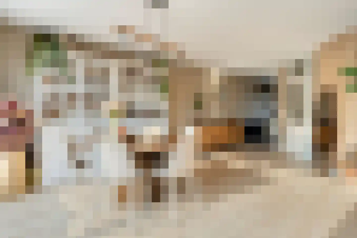 Reigersdreef 30 Streefkerk thumbnail 19