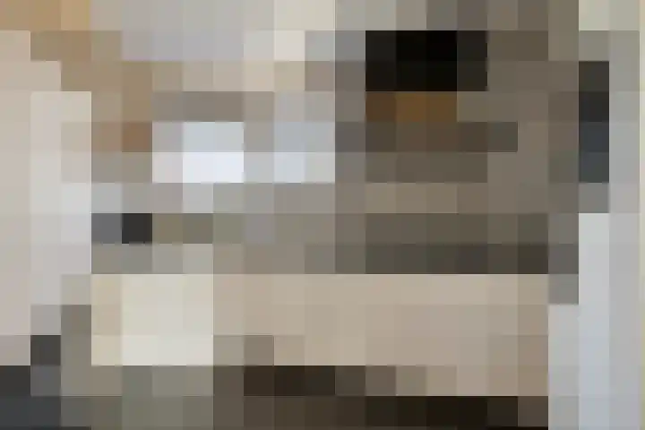 Reigersdreef 30 Streefkerk thumbnail 22