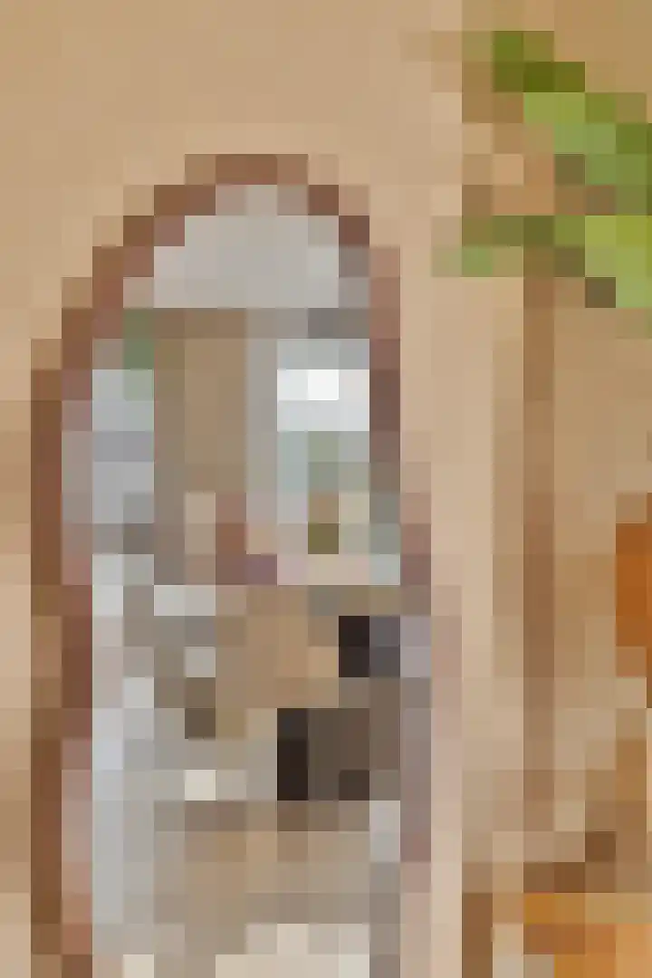 Reigersdreef 30 Streefkerk thumbnail 25