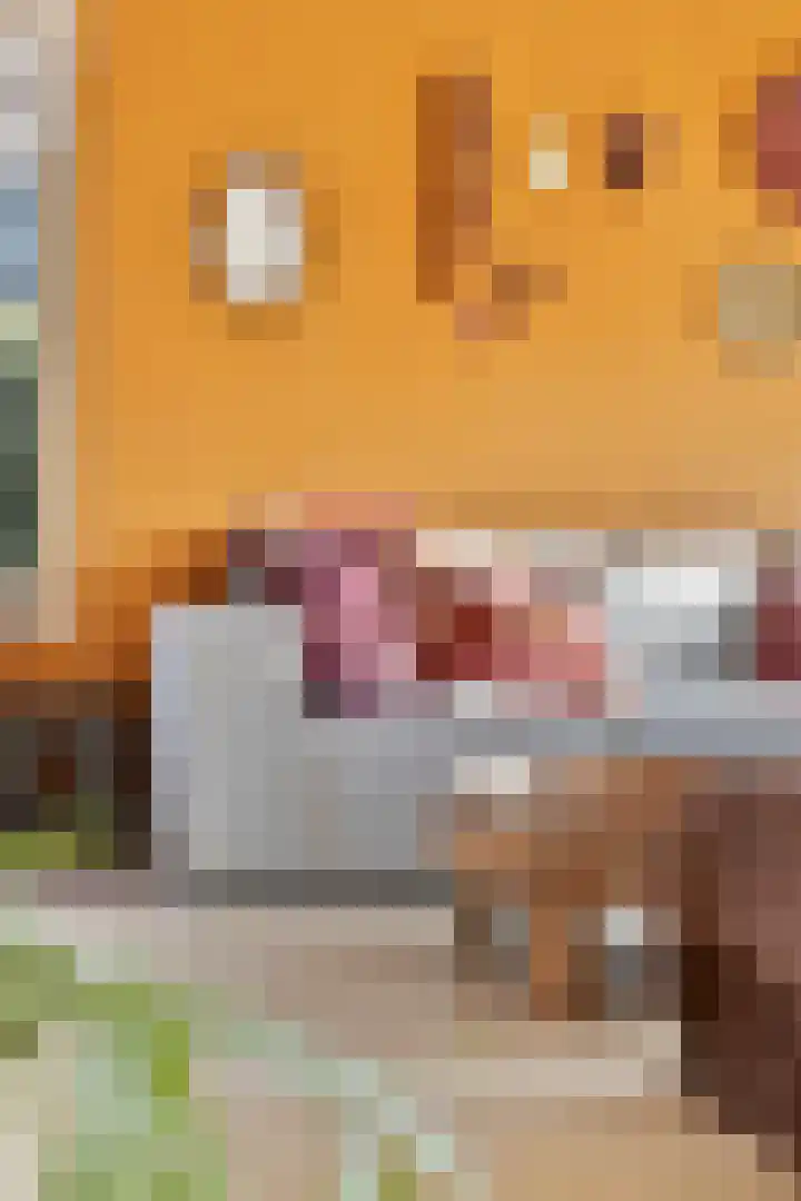 Reigersdreef 30 Streefkerk thumbnail 26