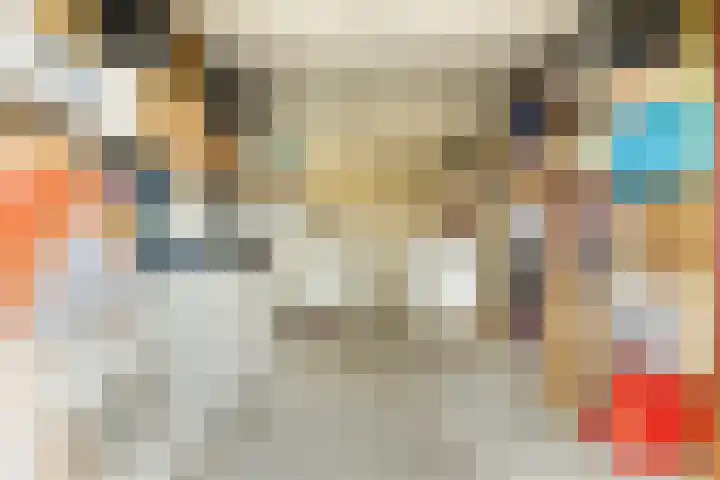 Reigersdreef 30 Streefkerk thumbnail 30