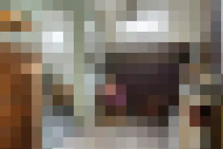 Reigersdreef 30 Streefkerk thumbnail 32