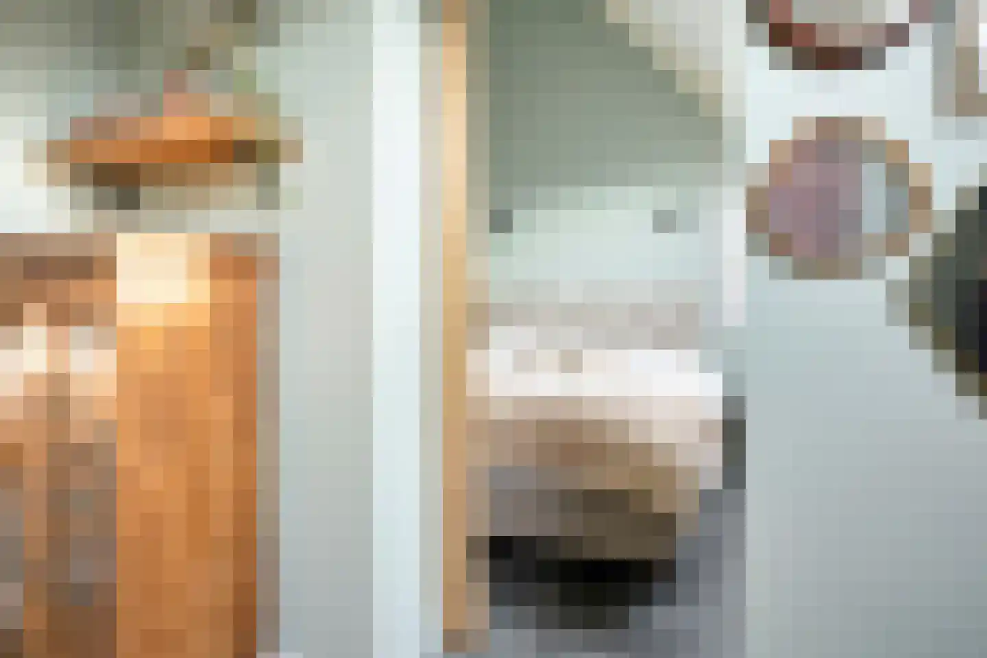Reigersdreef 30 Streefkerk thumbnail 33