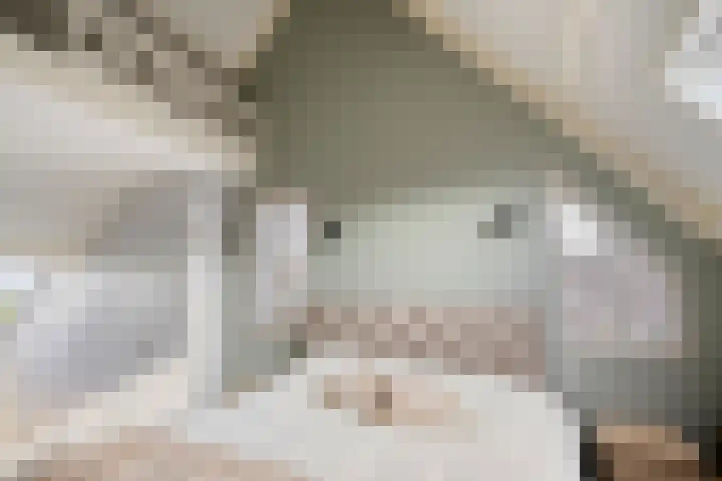 Reigersdreef 30 Streefkerk thumbnail 34