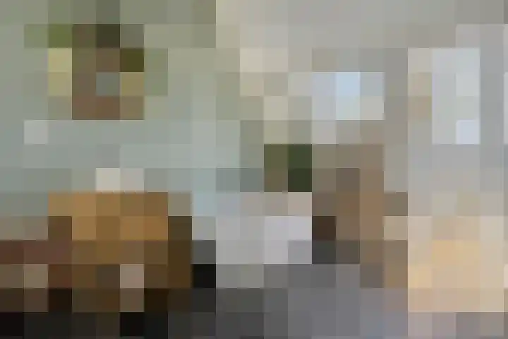 Reigersdreef 30 Streefkerk thumbnail 36