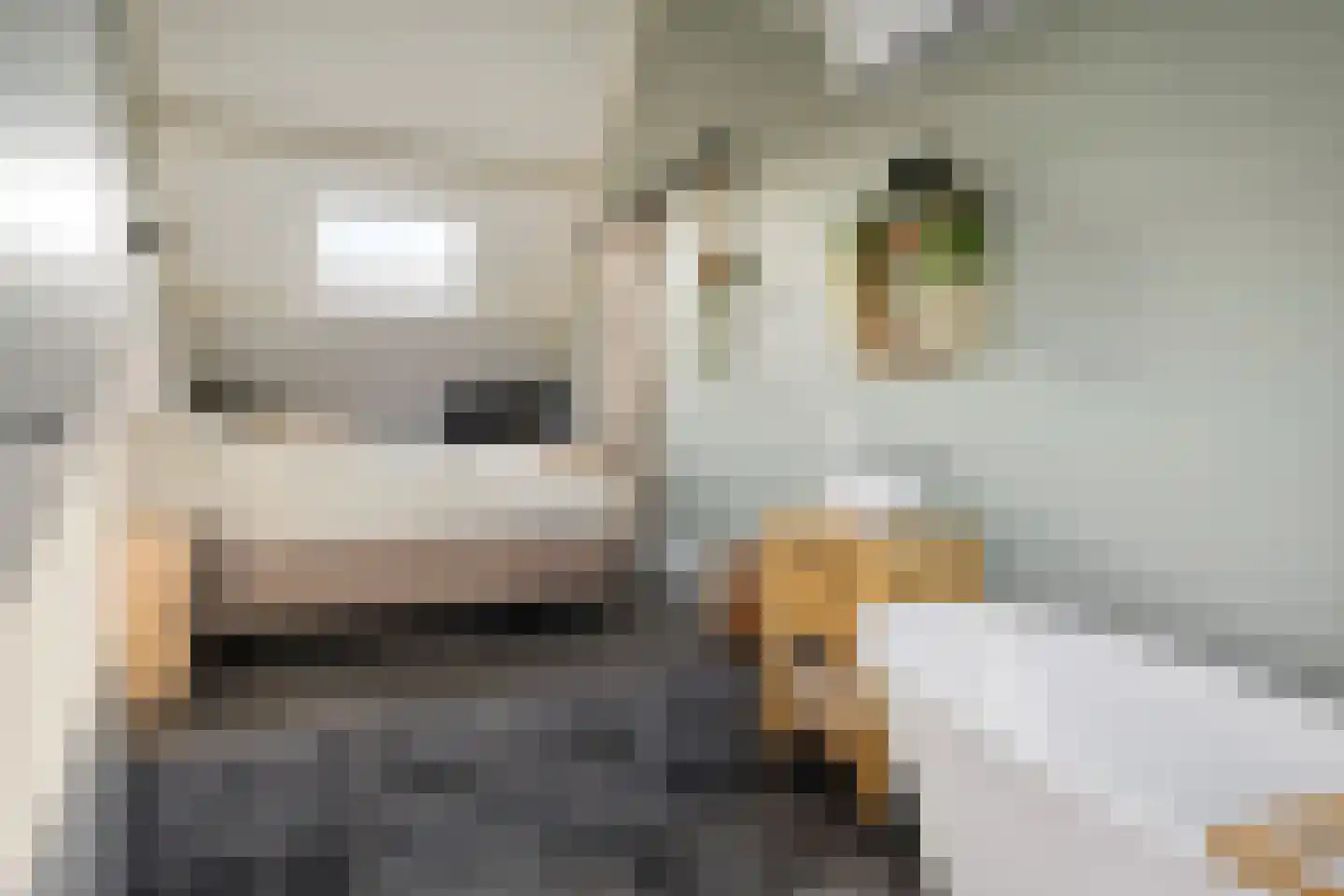 Reigersdreef 30 Streefkerk thumbnail 37