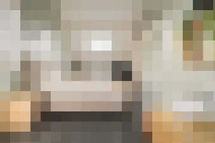 Reigersdreef 30 Streefkerk thumbnail 38