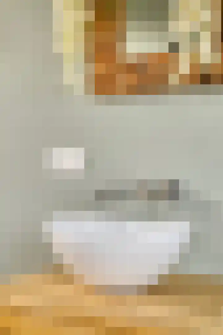 Reigersdreef 30 Streefkerk thumbnail 39