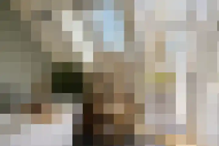 Reigersdreef 30 Streefkerk thumbnail 42