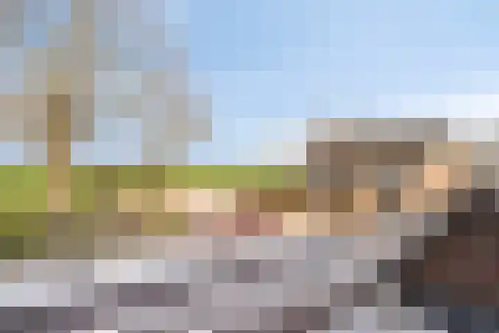 Reigersdreef 30 Streefkerk thumbnail 43