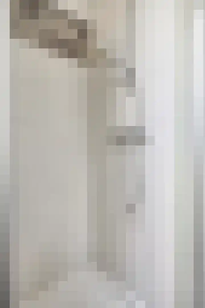 Reigersdreef 30 Streefkerk thumbnail 47