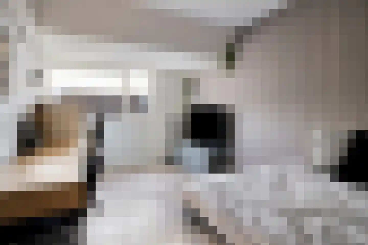 Reigersdreef 30 Streefkerk thumbnail 48