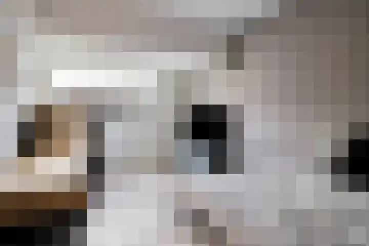 Reigersdreef 30 Streefkerk thumbnail 48
