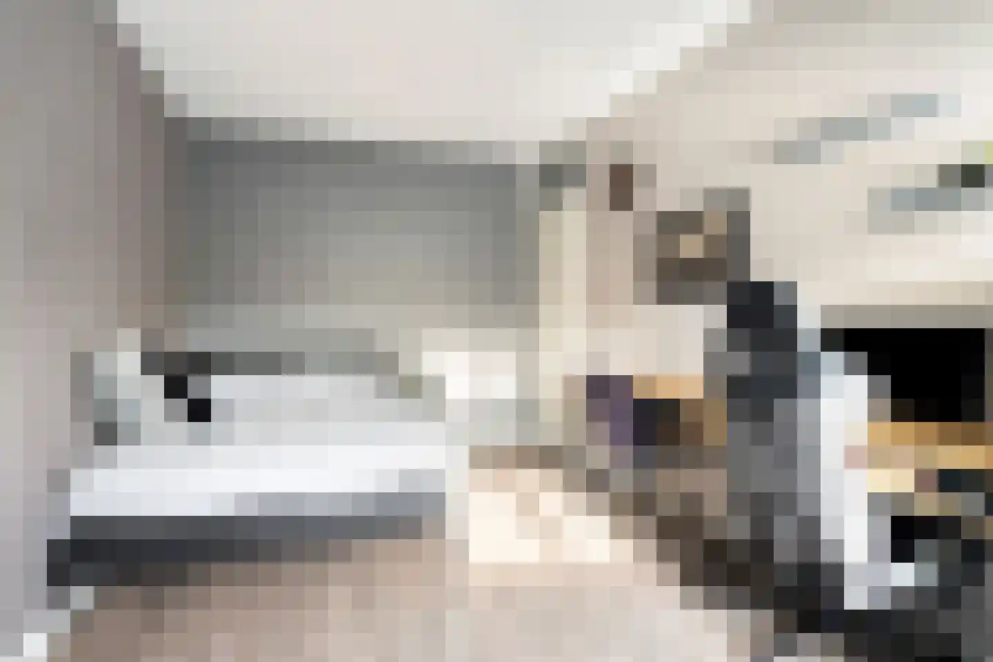 Reigersdreef 30 Streefkerk thumbnail 49