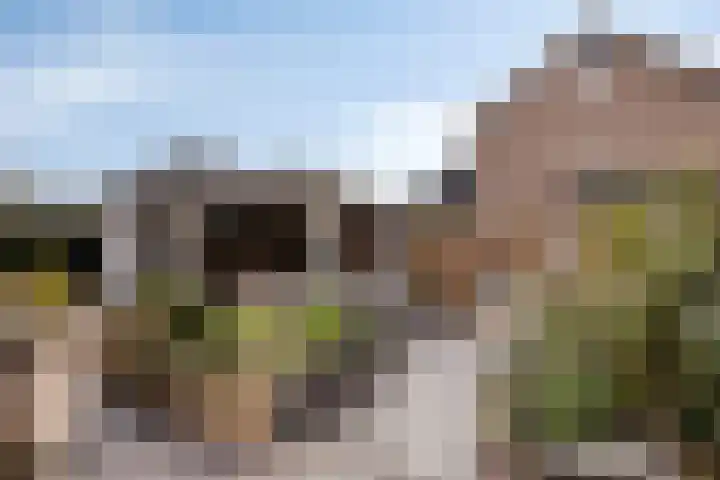 Reigersdreef 30 Streefkerk thumbnail 56