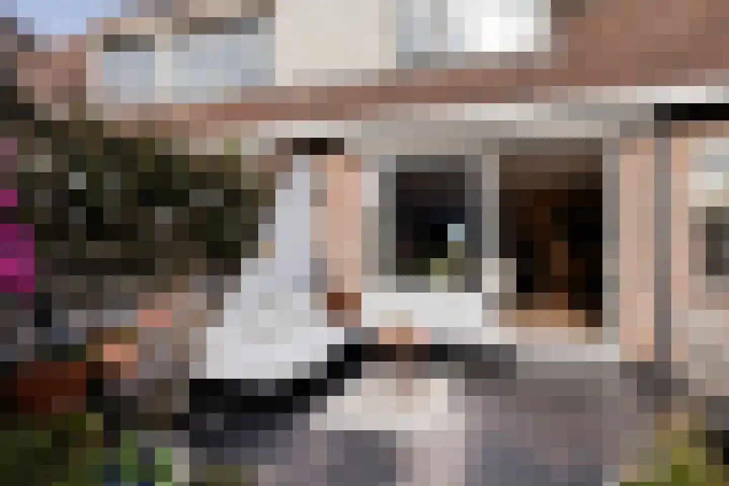 Reigersdreef 30 Streefkerk thumbnail 62