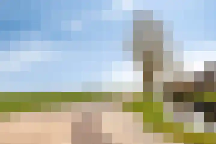 Reigersdreef 30 Streefkerk thumbnail 65