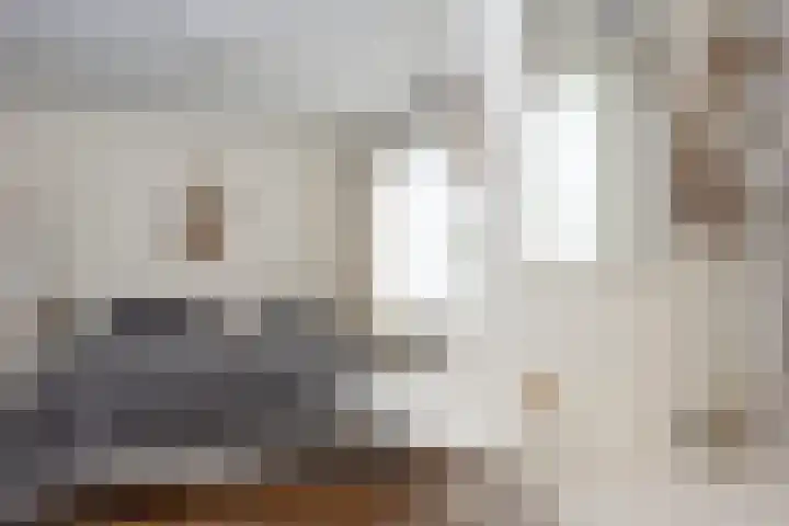 Reigershof 19 Borne thumbnail 16