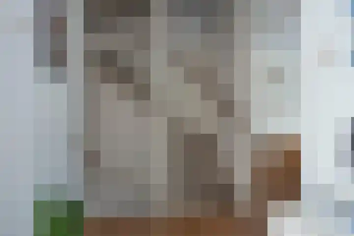 Reigershof 19 Borne thumbnail 25