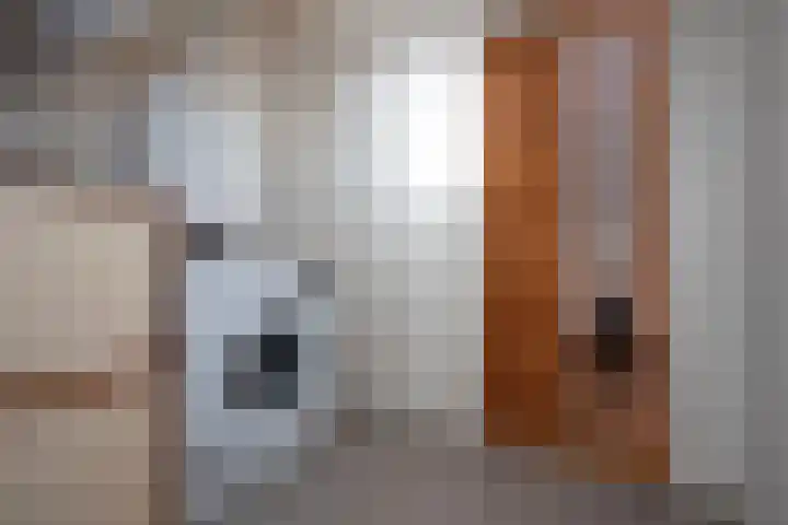 Reigershof 19 Borne thumbnail 28