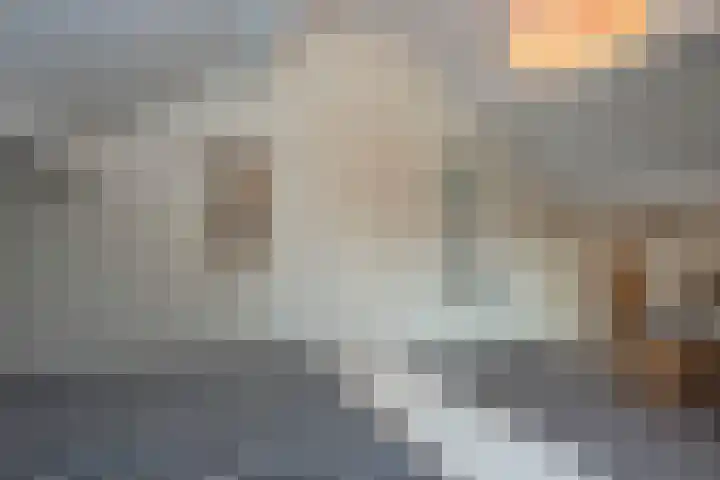 Reigershof 19 Borne thumbnail 31