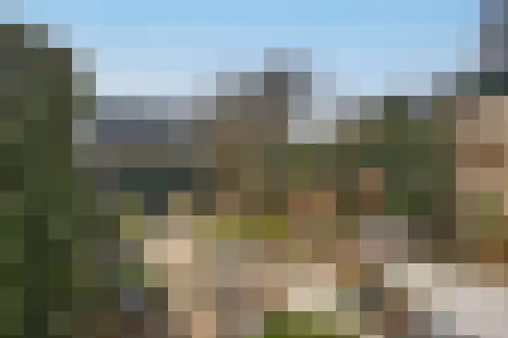 Reigershof 19 Borne thumbnail 32