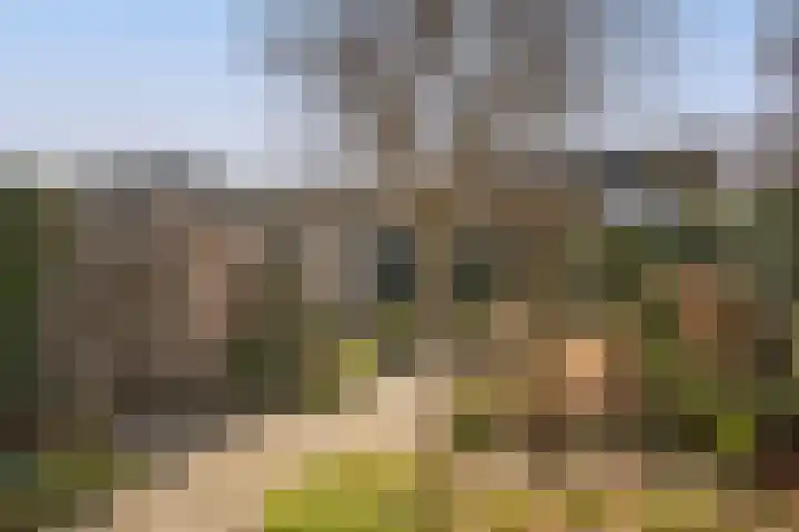 Reigershof 19 Borne thumbnail 33