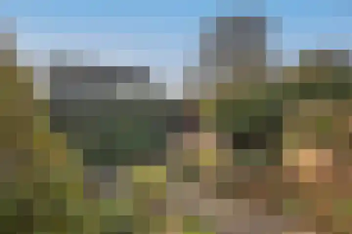 Reigershof 19 Borne thumbnail 34