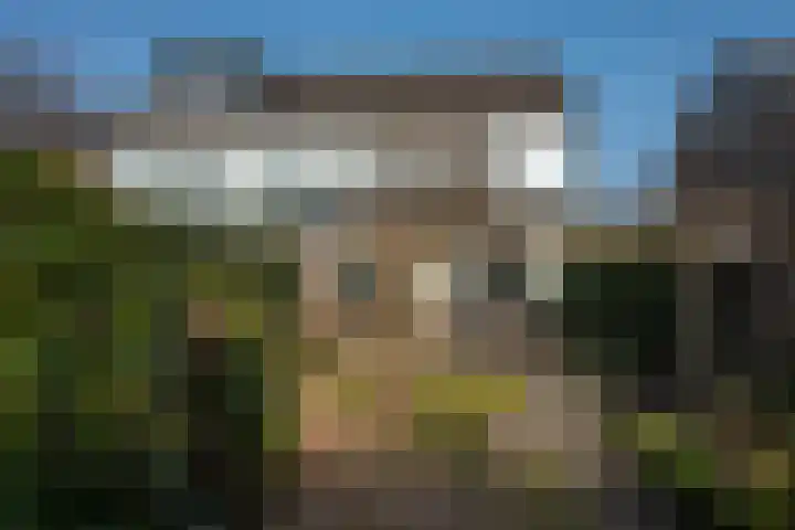 Reigershof 19 Borne thumbnail 35