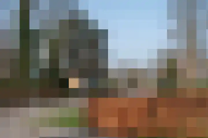 Reigershof 19 Borne thumbnail 37