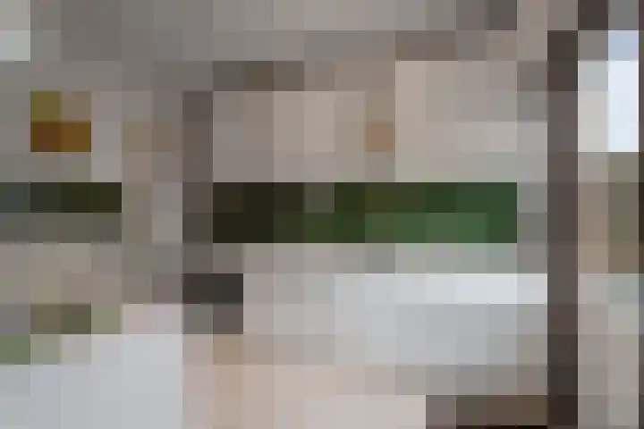 Reigershof 19 Schagen thumbnail 11