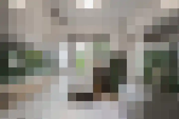 Reigershof 19 Schagen thumbnail 12