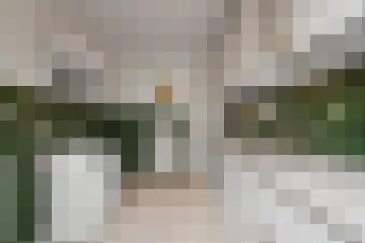 Reigershof 19 Schagen thumbnail 13