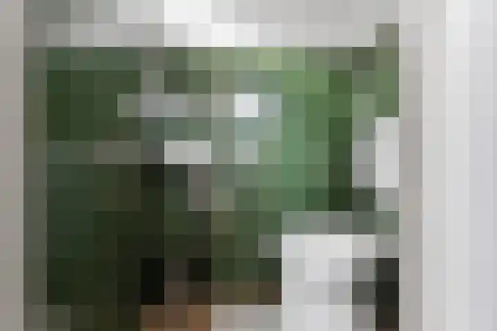 Reigershof 19 Schagen thumbnail 14