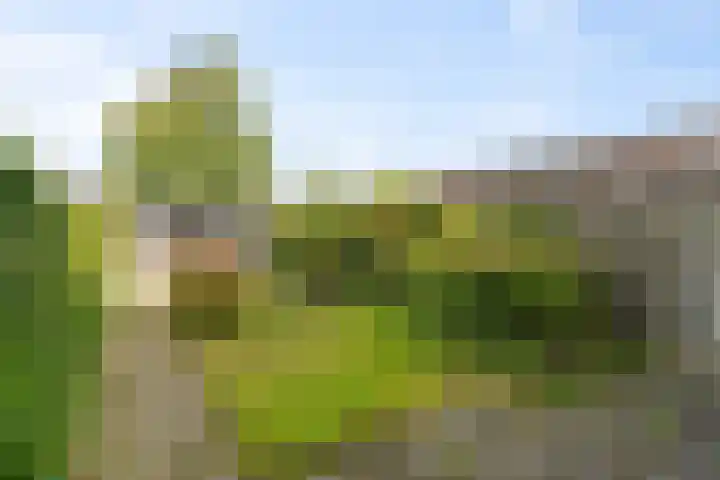 Reigershof 19 Schagen thumbnail 15