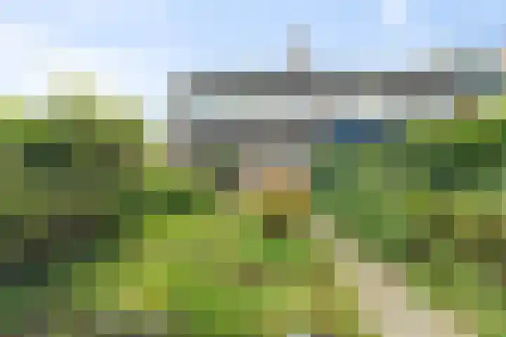 Reigershof 19 Schagen thumbnail 16