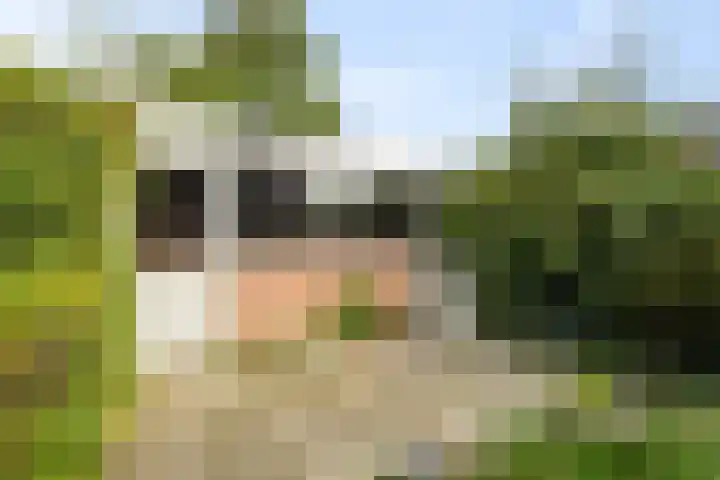 Reigershof 19 Schagen thumbnail 17