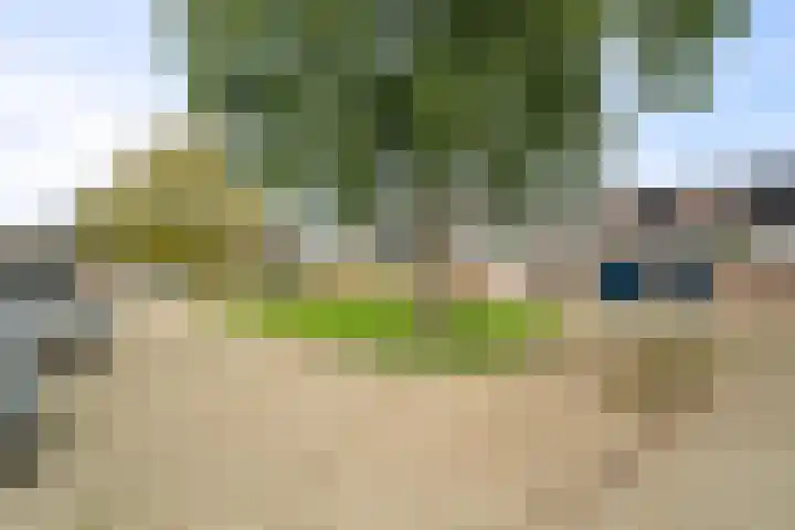 Reigershof 19 Schagen thumbnail 30