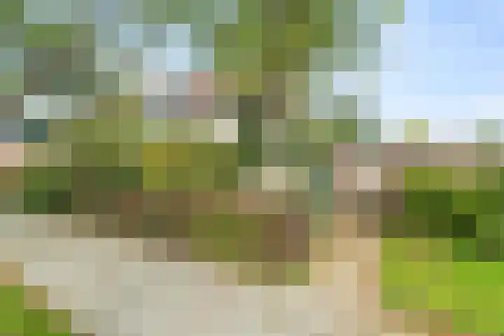 Reigershof 19 Schagen thumbnail 4